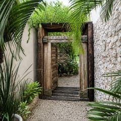 Anastasia Studio 2